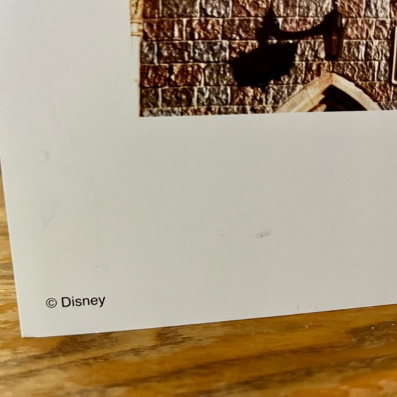 Disney World Cinderellas Castle North Face Art Print 15.5” x 11” - Picture 5 of 6